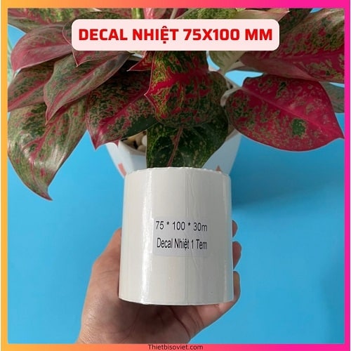Decal nhiệt 75x100 - Decal in đơn hàng khổ A7