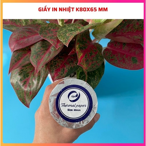 Giấy in nhiệt K80X65 mm