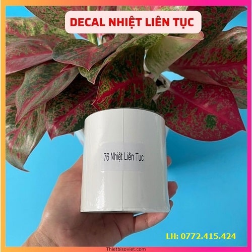 Giấy in bill K80 có keo liên tục tại Quận 4 giá rẻ